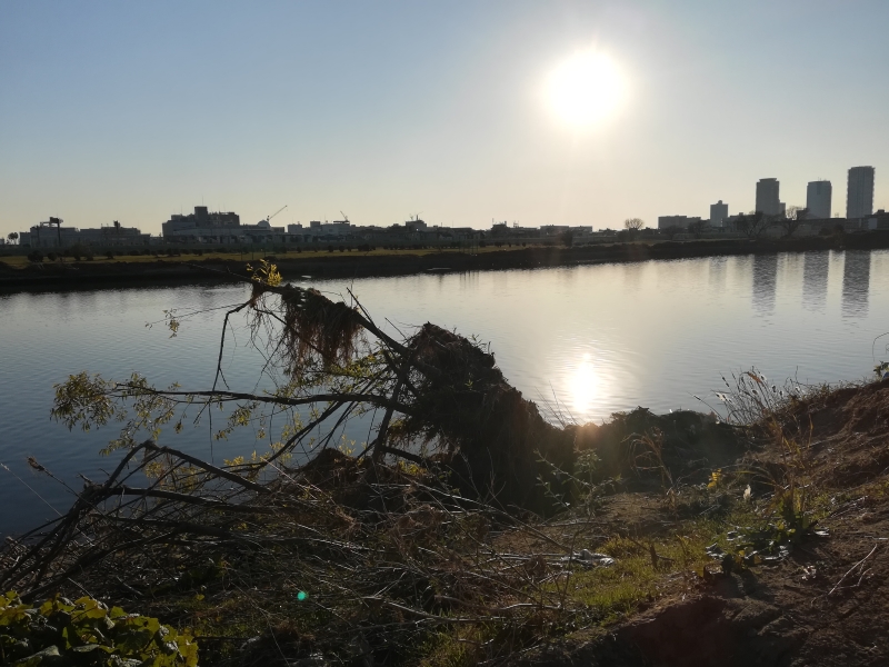 多摩川の画像